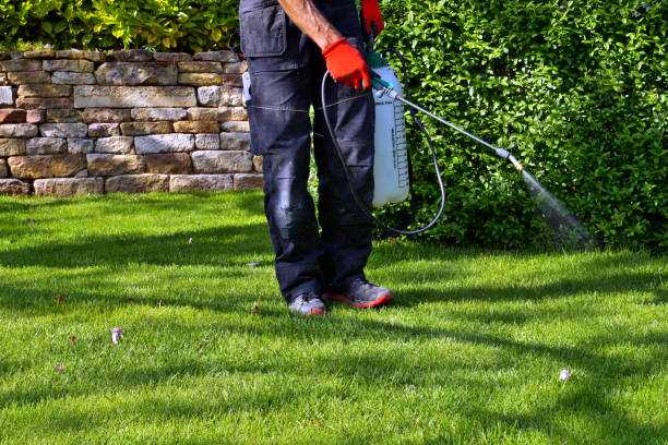 Best Commercial Pest Control  in Northlakes, NC